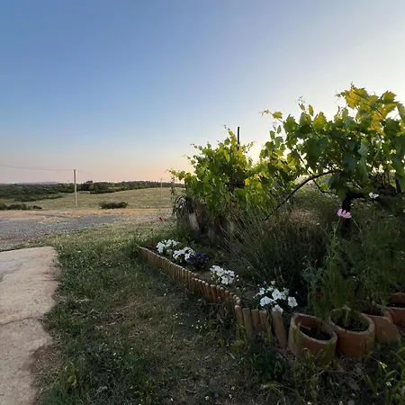 Casa Chao