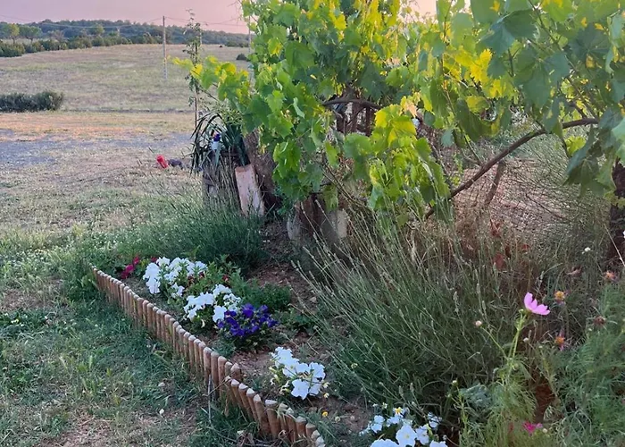 Homestay Casa Chao Estopinan del Castillo